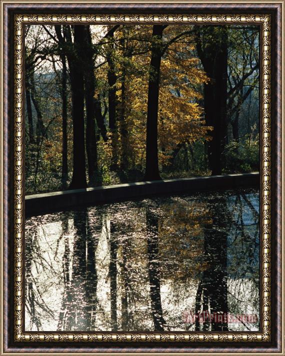 Raymond Gehman Reflecting Pool And Oaks at Theodore Roosevelts Memorial Framed Painting