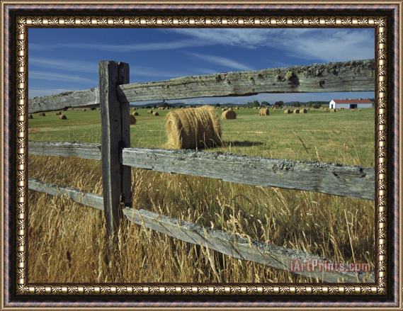 Raymond Gehman Rolls of Hay Fill a Farmers Field Framed Painting