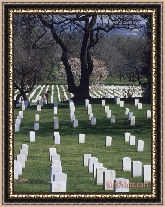 Raymond Gehman Rows of Tombstones Line The Fields of Arlington National Cemetery Framed Painting