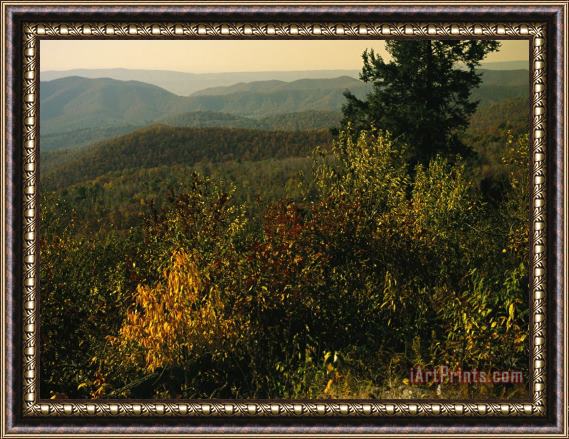Raymond Gehman Scenic Overlook at Tanners Ridge with Blue Ridge Mountains Beyond Framed Print