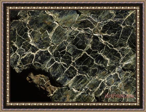 Raymond Gehman Serpentinite Marked by Veins of Green in Scale Patterns Tablelands Gros Morne Framed Painting