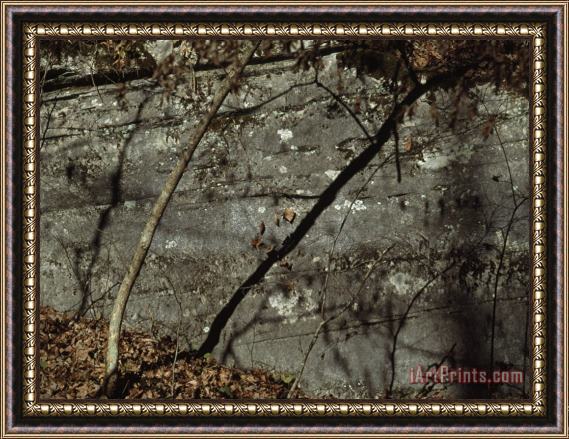 Raymond Gehman Shadows of Trees And Leaves Cast of a Large Boulder Framed Painting