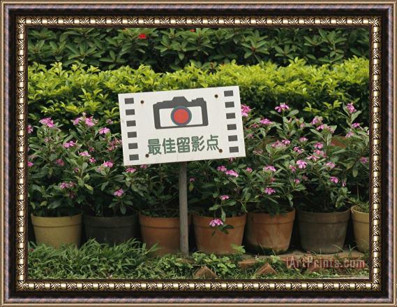 Raymond Gehman Sign in Front of Blooming Plants Indicates a Photo Opportunity Framed Print
