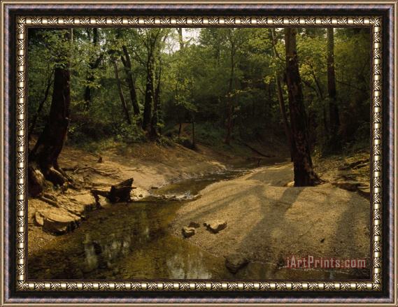 Raymond Gehman Small Creek Along a Forest Nature Trail Near Mammoth Cave Framed Print