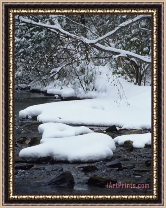 Raymond Gehman Snow Covered Trees And Stones Along Antietam Creek Framed Print