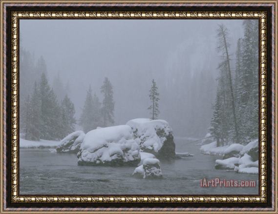 Raymond Gehman Snow Storm Firehole River Framed Painting