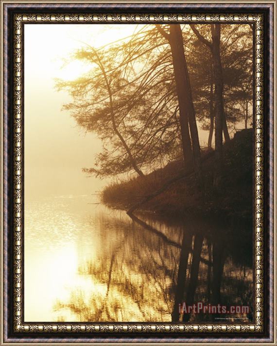 Raymond Gehman Sunrise on Otter Lake in The George Washington National Forest Framed Print