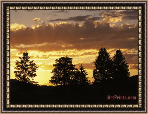 Raymond Gehman Sunset Over Lamar Valley with Silhouetted Evergreens Framed Painting