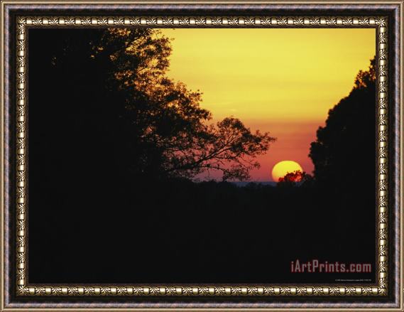 Raymond Gehman Sunset with Silhouetted Trees Framed Print