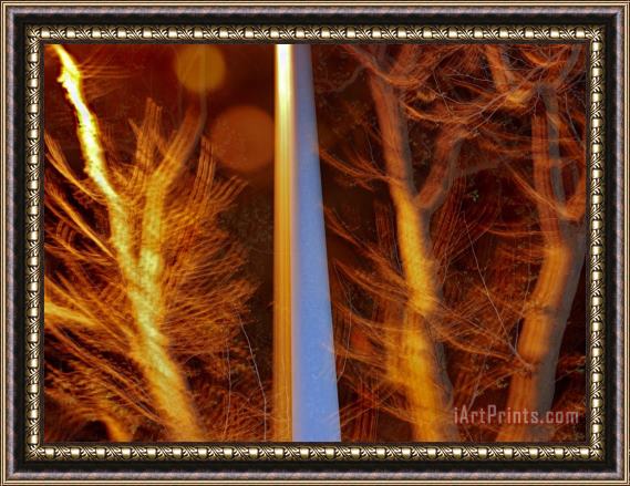 Raymond Gehman Telephone Pole And Leaf Less Trees at Night Framed Painting