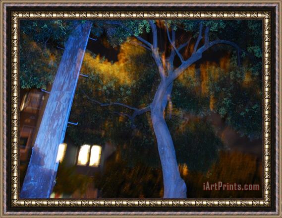 Raymond Gehman Telephone Pole And Tree Along a City Street at Night in San Francisco Framed Print
