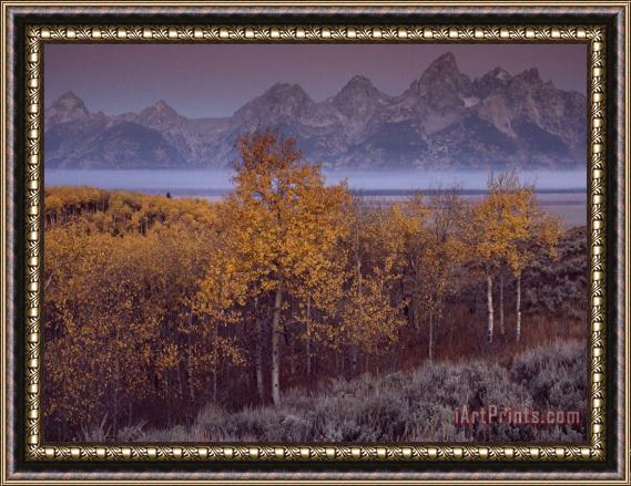 Raymond Gehman Teton Range Towers Above Jackson Hole Wyoming Framed Painting