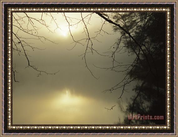 Raymond Gehman The Morning Sun Is Reflected on Otter Lake Framed Print