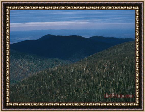 Raymond Gehman The Ridges of Old Rag Mountain at Sunset Framed Painting