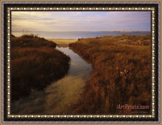Raymond Gehman Tidal Creek Through Salt Marsh Grasses Framed Painting