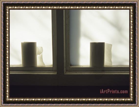 Raymond Gehman Toilet Paper Rolls Line The Sill of a Window Framed Painting