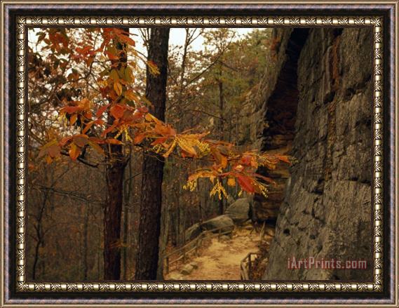 Raymond Gehman Trail Leading Up to a Natural Sandstone Arch Framed Print