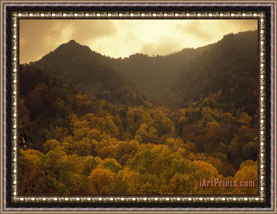 Raymond Gehman Trees in Autumn Hues Covering Ancient Mountain Ridges Framed Painting