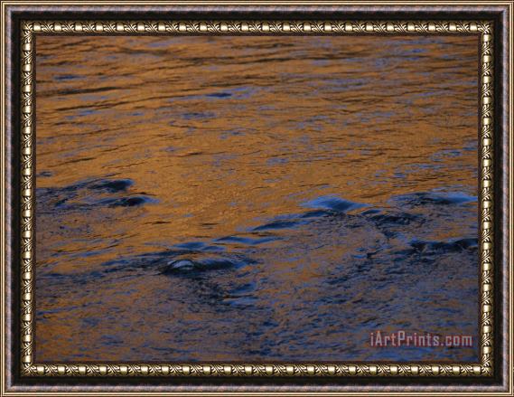 Raymond Gehman Twilight Sun Reflects on The Waters of The Madison River Framed Painting