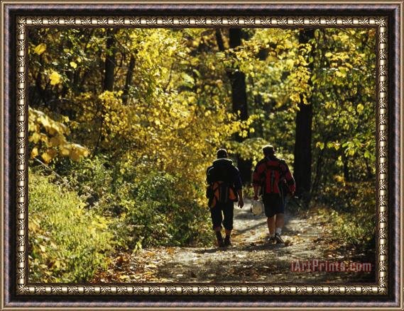 Raymond Gehman Two Men Walking a Gravel Road Through a Forest Framed Painting