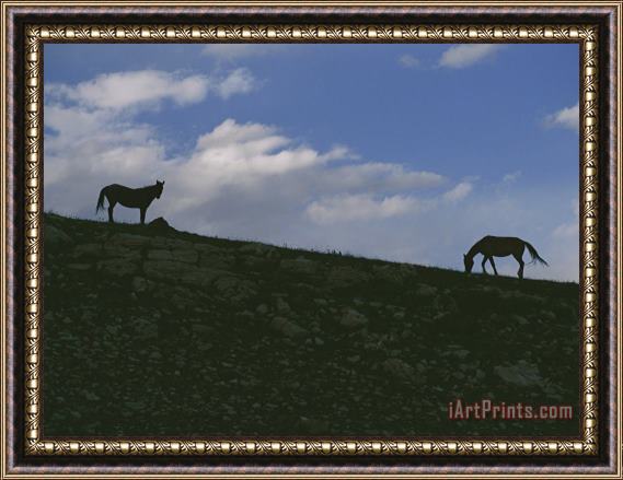 Raymond Gehman Two Wild Horses Are Silhouetted by The Setting Sun Framed Painting