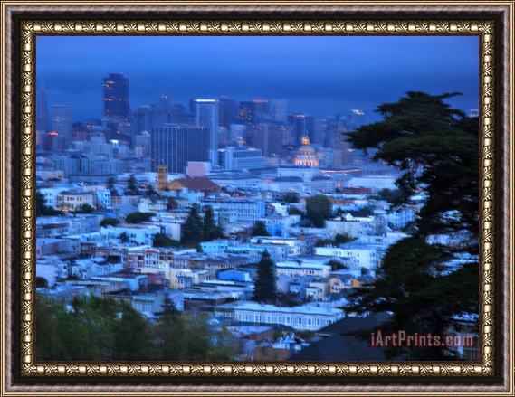 Raymond Gehman View of San Francisco From Buena Vista Park Framed Print