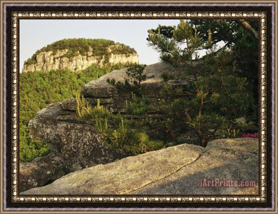 Raymond Gehman View of The Pinnacle of Pilot Mountain From The Sassafras Trail Framed Print