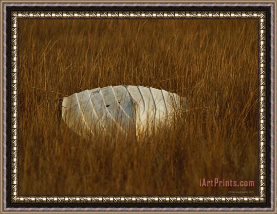 Raymond Gehman Watermans Boat Upturned in a Cordgrass Salt Marsh Framed Painting