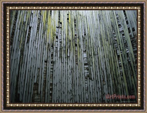 Raymond Gehman Weathered Wood Ruins on The Dungeoness Estate Framed Painting