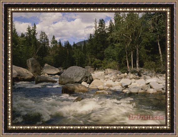 Raymond Gehman White Water Rapids Roll Over Rocks in a River Running Through Woods Framed Painting