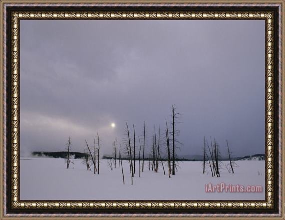 Raymond Gehman Winter Landscape with Trees Killed by Hot Springs Lower Geyser Basin Framed Print