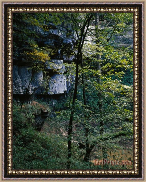 Raymond Gehman Wooded Scenery And Rock Outcrops Viewed From Inside a Sinkhole Framed Painting