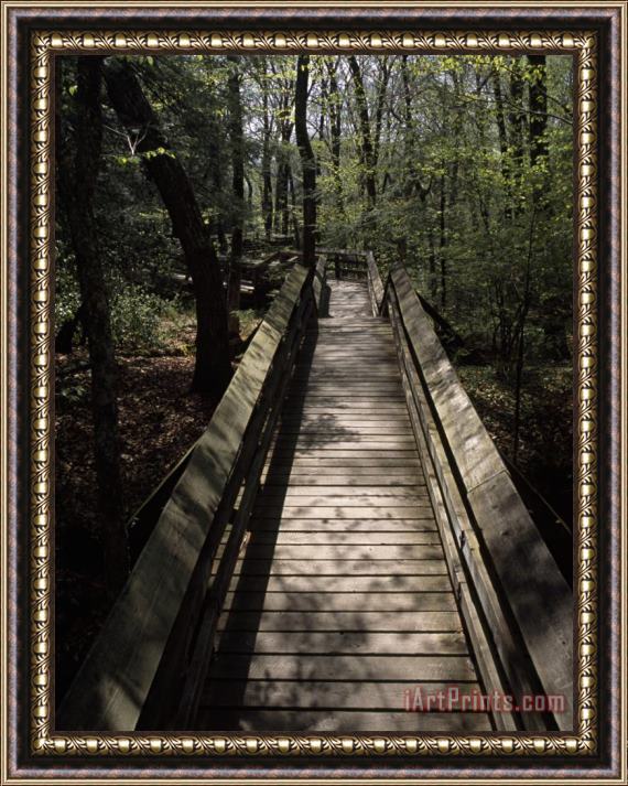 Raymond Gehman Wooden Walkway Through Scenic Forest in Beartown State Park Framed Print