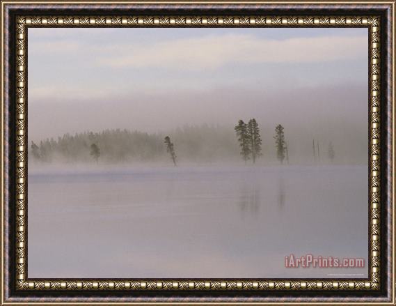 Raymond Gehman Yellowstone River in Dawn Mist Framed Print