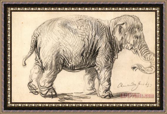 Rembrandt Harmensz van Rijn An Elephant, 1637 Framed Print