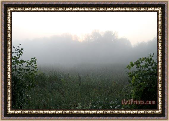 Richard De Wolfe Mysterious Dawn Framed Painting