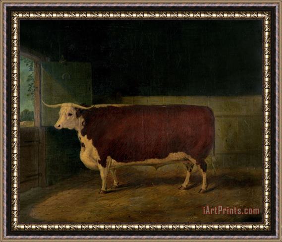 Richard Whitford Portrait of a Prize Hereford Steer Framed Painting