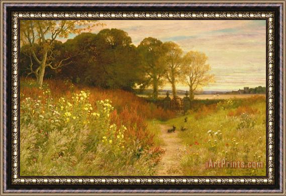 Robert Collinson Landscape with Wild Flowers and Rabbits Framed Print
