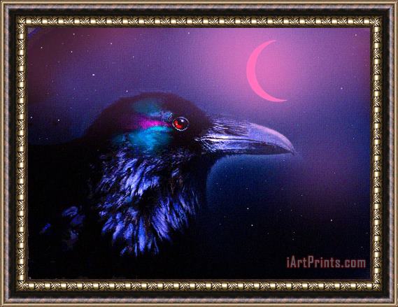 Robert Foster Red Moon Raven Framed Print