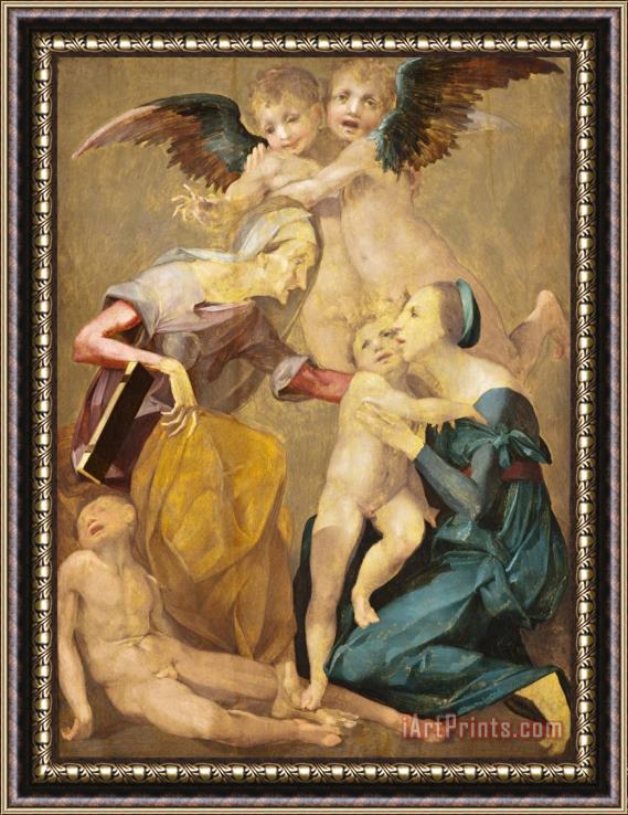 Rosso Fiorentino  Allegory of Salvation with The Virgin And Christ Child, St. Elizabeth, The Young St. John The Baptis... Framed Print
