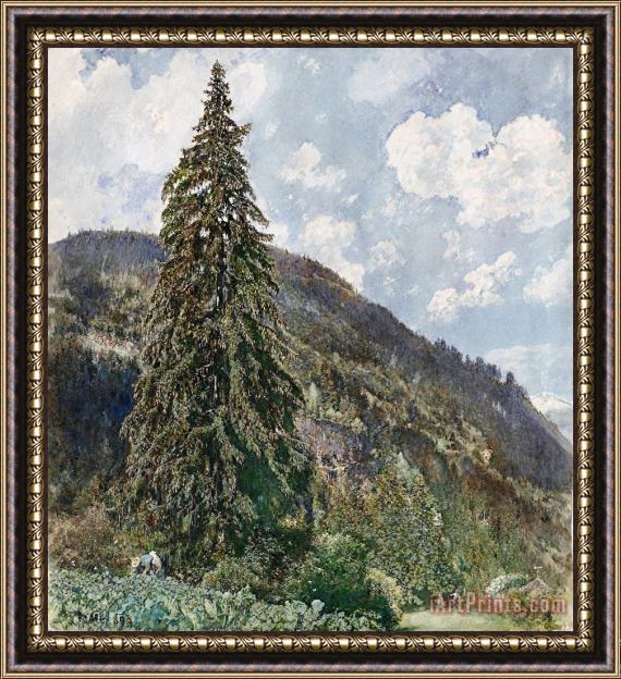 Rudolf von Alt The Old Spruce in Bad Gastein Framed Print