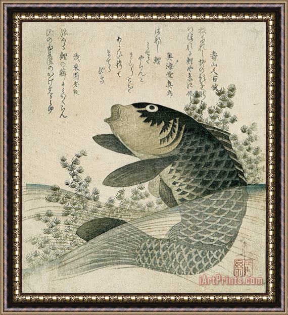 Ryuryukyo Shinsai Carp among pond plants Framed Print