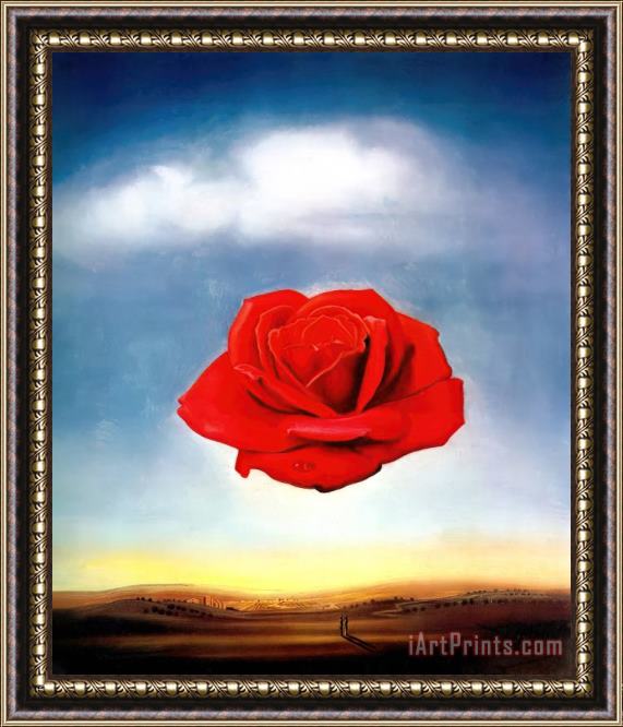 Salvador Dali Dali Meditative Rose Framed Print