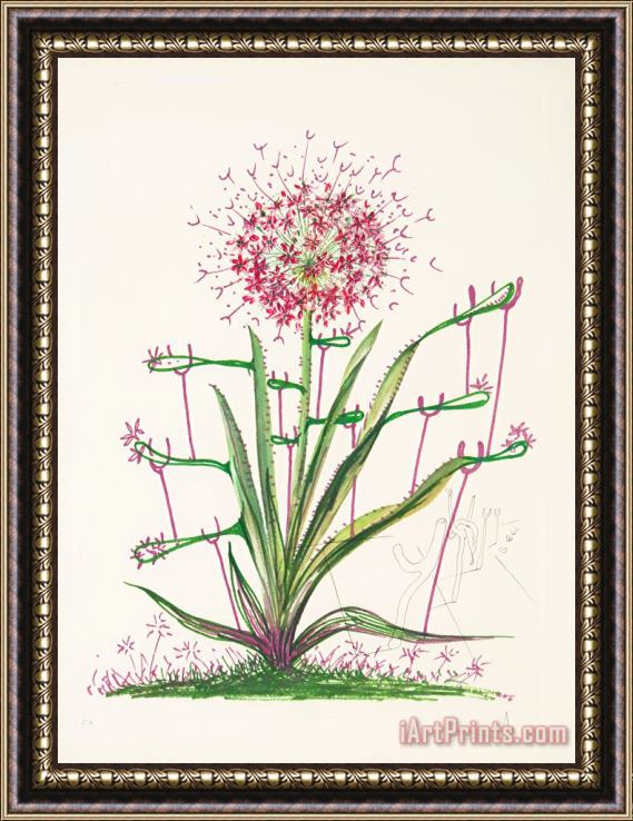 Salvador Dali Desert Cactus, From Florals, 1972 Framed Painting