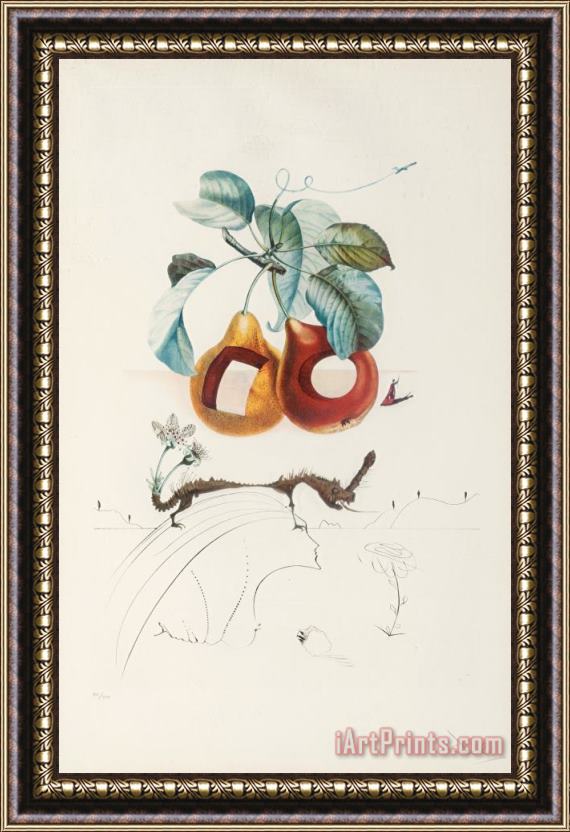 Salvador Dali Fruits Trouees (fruit with Holes), From Les Fruits Framed Painting