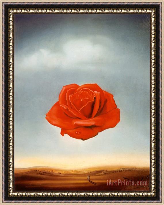 Salvador Dali Meditative Rose Framed Painting