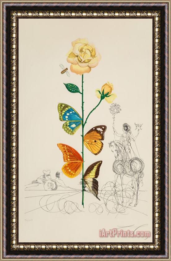 Salvador Dali Rosa Papillo, From Flora Dallinae, 1968 Framed Print