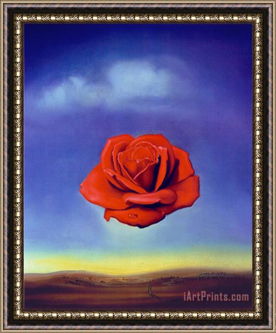 Salvador Dali Rose Medidative C 1958 Framed Painting