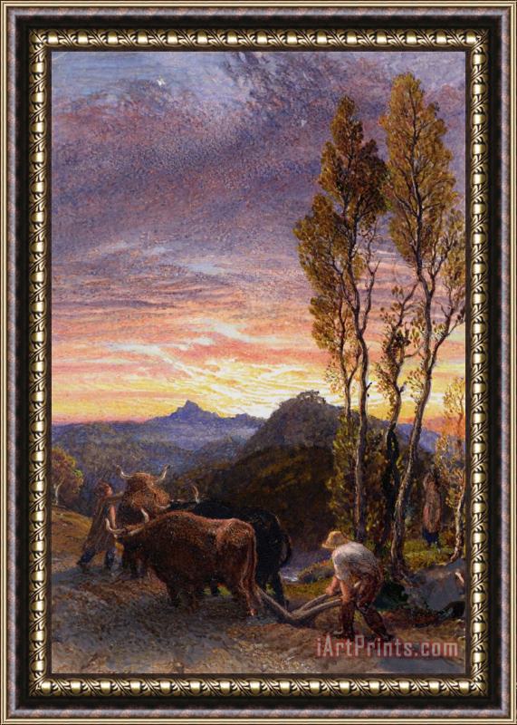 Samuel Palmer Oxen Ploughing At Sunset Framed Painting