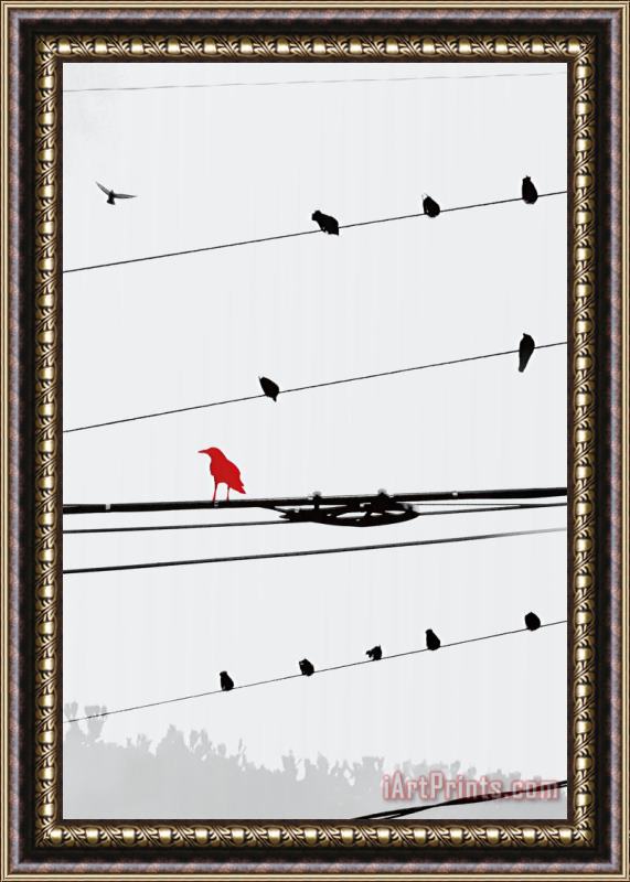 Sara Abbott Birds on a Wire I Framed Print